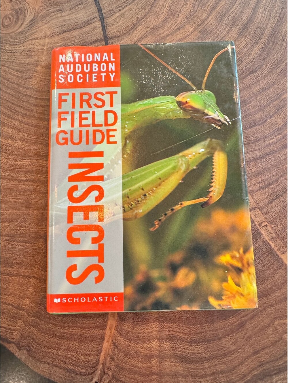 National Audubon Society First Field Guide: Insects